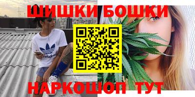 твердый Лесосибирск