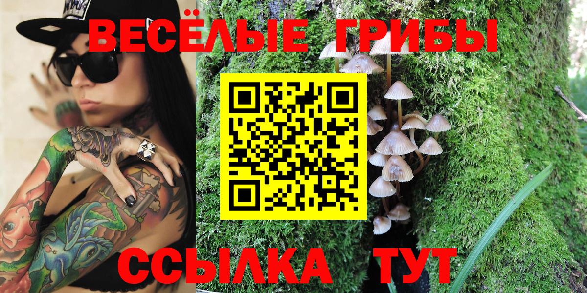Галлюциногенные грибы Psilocybine cubensis  Галлюциногенные грибы ЛСД  Вход с VPN  Воткинск 