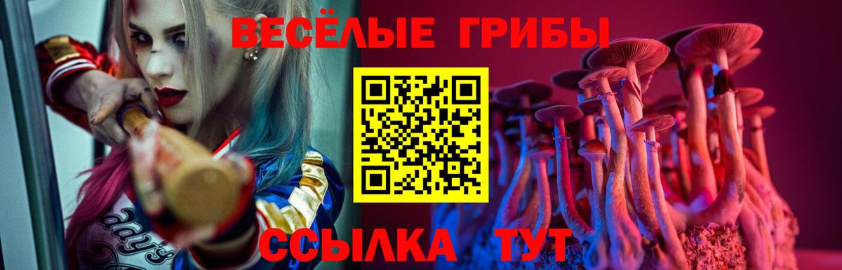 Псилоцибиновые грибы Magic Shrooms Воткинск